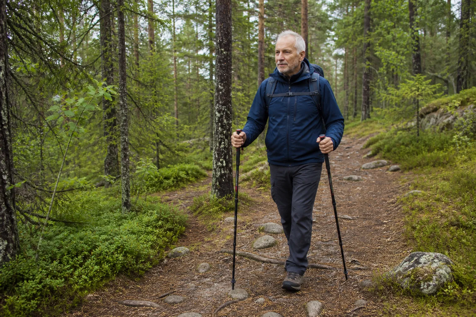 En person vandrar med stavar på en skogsstig.